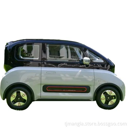 2023 New Electric Car Wuling Baojun Kiwi Made in China with Low Price New Energy Car